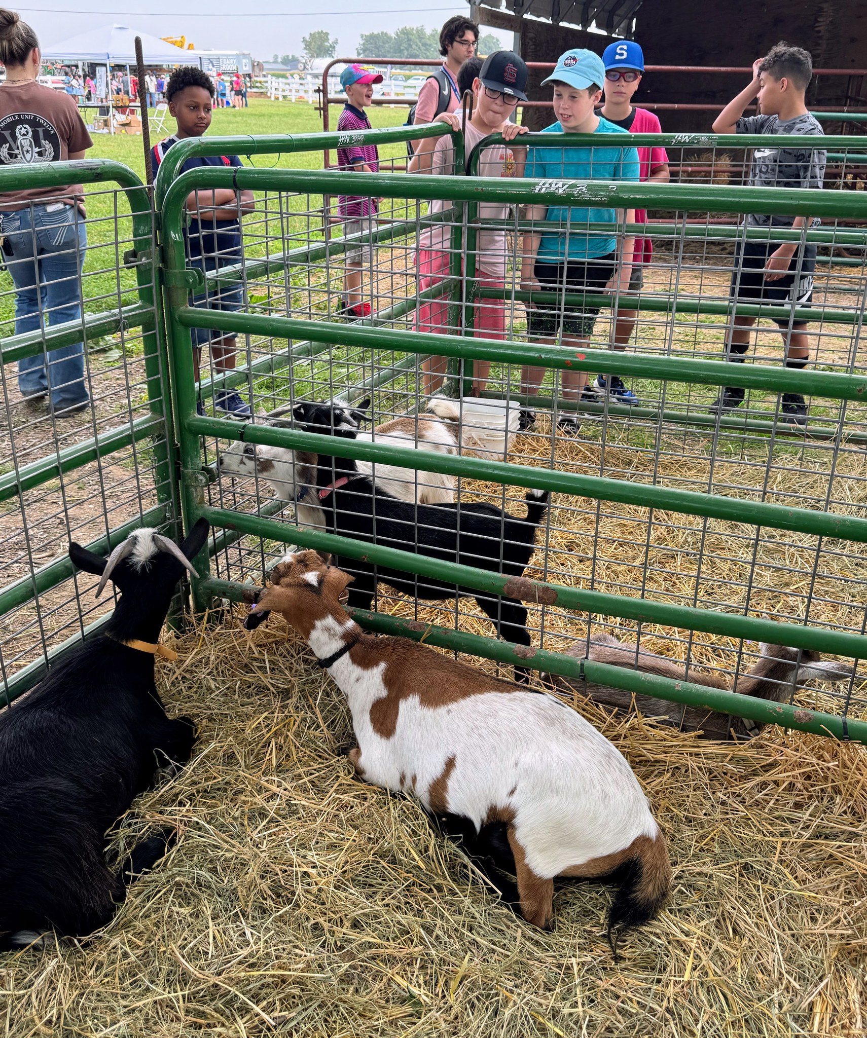 100 Years of Horsepower